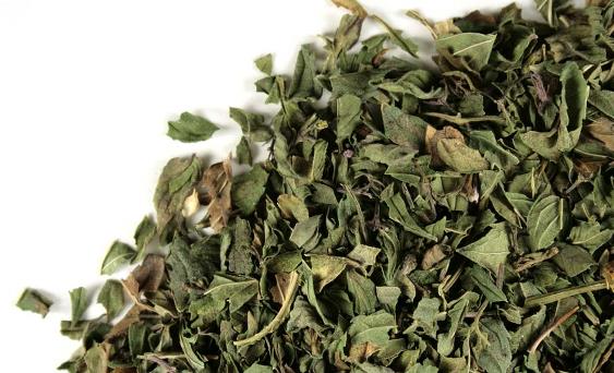 تصویر 4 از خرید و فروش عمده نعناع فلفلی برگ صادراتی با کیفیت ممتاز
